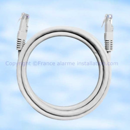 copy of câble 830-99X RJ45