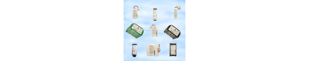 Batteries compatibles BATSECUR pour Daitem Logisty Hager